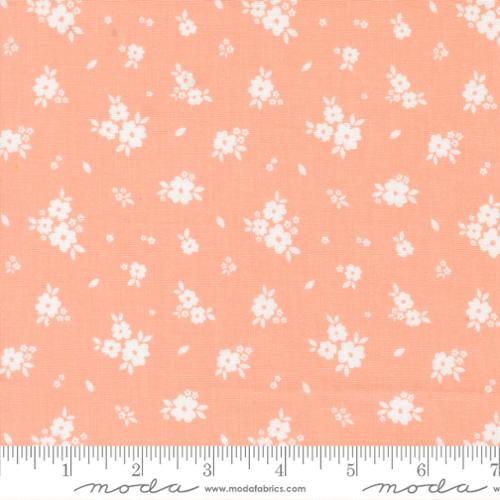 Moda - Pastel Prairie - Jovial 31781 17